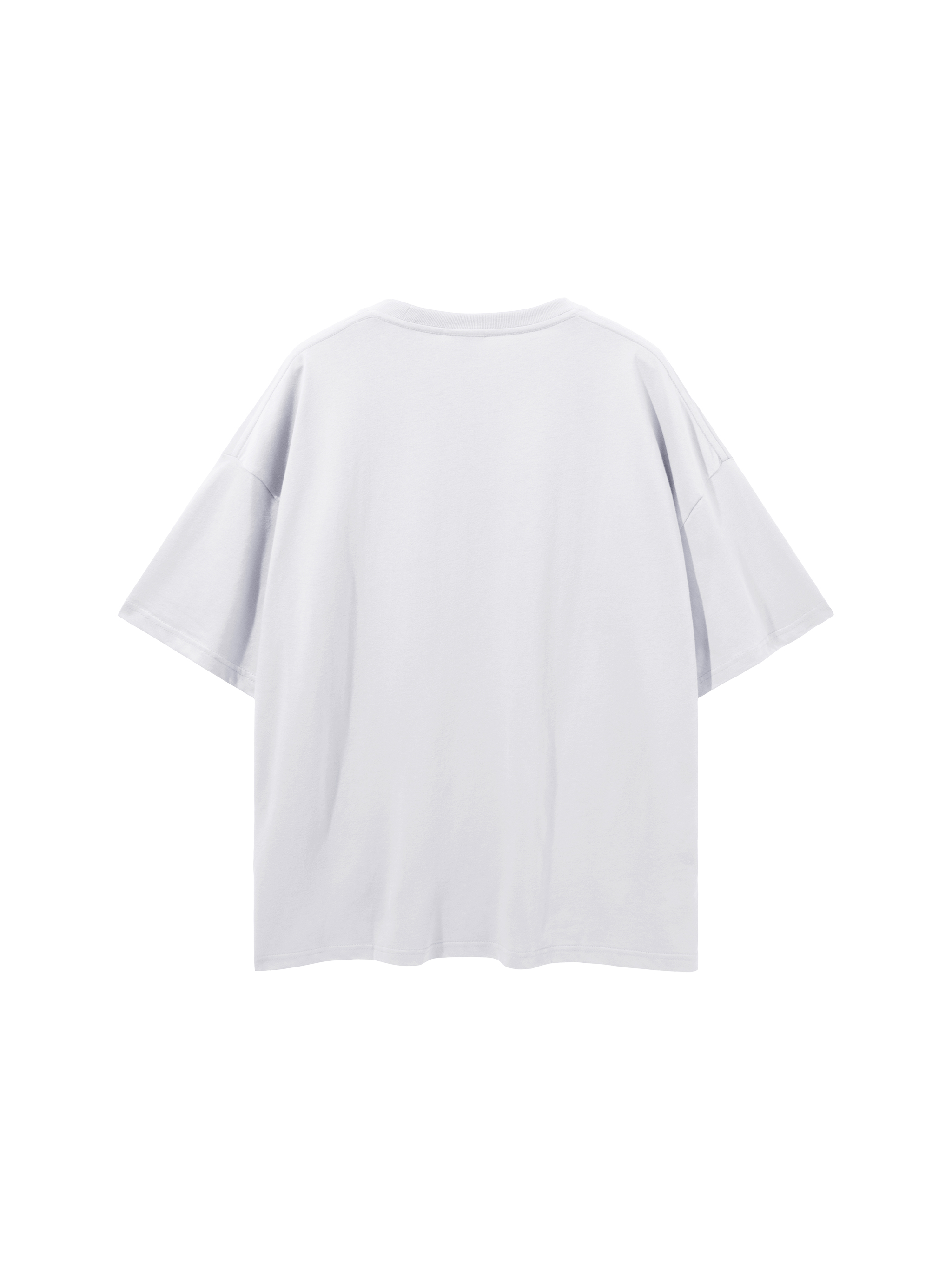 Blank Tee back